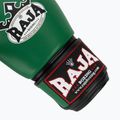 Boxing gloves RAJA BOXING Single Semi Leather green 6