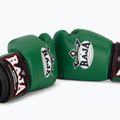 Boxing gloves RAJA BOXING Single Semi Leather green 7