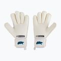 Children's goalkeeper gloves 4keepers Champ Aq Contact V Rf white 2