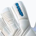 Goalkeeper gloves 4keepers Champ Aqua VII RF2G white 4