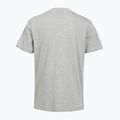 Men's T-shirt PROSTO Biglog gray 2
