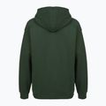 Men's sweatshirt PROSTO Biolog Hoodie khaki 2