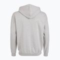 Men's sweatshirt PROSTO Hoodie Logo Zip gray 2