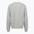Men's sweatshirt PROSTO Old Logo Crewneck gray 2