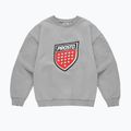 Men's sweatshirt PROSTO Big Shield Crewneck gray