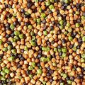Pellets for Feeder Bait Prestige Fish Meal Sweet 2 mm 800 g FB11-10 2