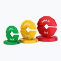 HMS overlay weight TSN25 2 x 0.25 kg green 3