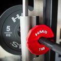 HMS overlay weight TSN100 2 x 1 kg red 4