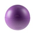 HMS YB03 gymnastic ball purple 17-42-130 55 cm