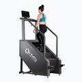 HMS ST01 Commercial Premium Exercise Staircase 7