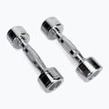 HMS CHD02 dumbbells 2 pcs. 2 kg silver 17-66-181 2