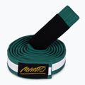 Children's Brazilian jiu-jitsu belt MANTO Tag green with white bar MNA867