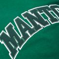 Men's MANTO Varsity hoodie green MNH479_GRE 3