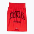 Men's boxing shorts MANTO Varsity red 3