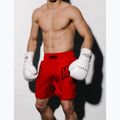Men's boxing shorts MANTO Varsity red 7