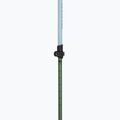 Trekking poles Viking Kivi 2.0 green 4