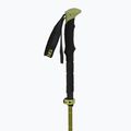 Trekking poles Viking Terve 2.0 green 2