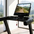 Electric treadmill HMS Terrun350 black 12