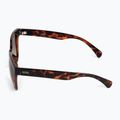 GOG women's sunglasses Sisi fashion brown demi / gradient brown E733-2P 4