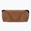 Women's GOG Hazel fashion black / brown demi / gradient smoke sunglasses E808-1P 5