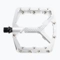 Leatt AllMnt 6.0 Flat silver bicycle pedals