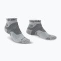 Men's trekking socks Bridgedale Hike Midweight Performance Ankle silver/black