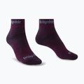 Women's trekking socks Bridgedale Hike Midweight Performance Ankle dark purple