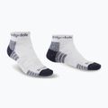 Men's socks Bridgedale Hike Lightweight Performance Ankle silver/navy