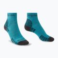 Women's socks Bridgedale Hike Lightweight Performance Ankle turquoise/navy