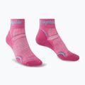 Women's trekking socks Bridgedale Hike Ultralight Performance Ankle pink