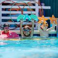 Children's swimming kickboard FINIS Floatie Friends Turtle blue/green 3