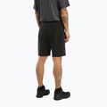 Arc'teryx men's trekking shorts Gamma LT 11" black X000006955044 3