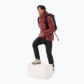 Men's Arc'teryx Cerium Hoody sequoia/solaris down jacket 2