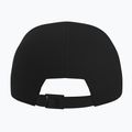Baseball cap Arcteryx Bird Wood 24k black 2