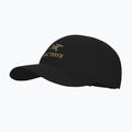 Baseball cap Arcteryx Bird Wood 24k black 3
