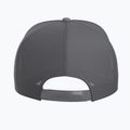 Arcteryx Bird Word Trucker baseball cap black /cloud 3