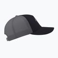 Arcteryx Bird Word Trucker baseball cap black /cloud 4