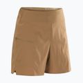 Arc'Teryx Aestas canvas trekking shorts 6