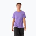 Women's T-shirt Arcteryx Kragg Sl Cotton Emblem Crew aster