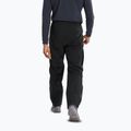 Men's trekking trousers Arc'Teryx Beta black 3