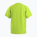 Men's T-shirt Arcteryx Kragg SL Cotton mantis 2