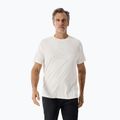 Men's T-shirt Arcteryx Cormac Logo arctic silk