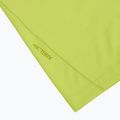 Men's T-shirt Arcteryx Cormac Logo mantis 3