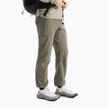Men's trekking trousers Arcteryx Gamma SL forage 4