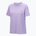 Women's T-shirt Arcteryx Kragg Sl Cotton Emblem Crew mallow 4