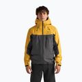 Men's softshell jacket Arcteryx Alpha larch/dk grey