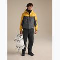 Men's softshell jacket Arcteryx Alpha larch/dk grey 2