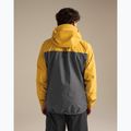 Men's softshell jacket Arcteryx Alpha larch/dk grey 3