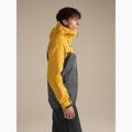 Men's softshell jacket Arcteryx Alpha larch/dk grey 5
