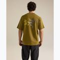 Men's T-shirt Arcteryx Kragg Cotton Logo SS bracken 3